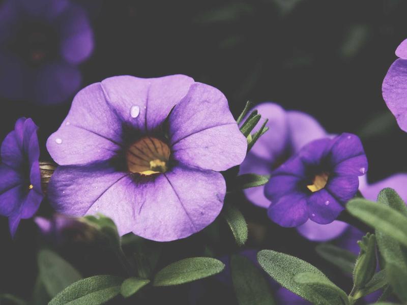 sudoku hint feature screenshot 3